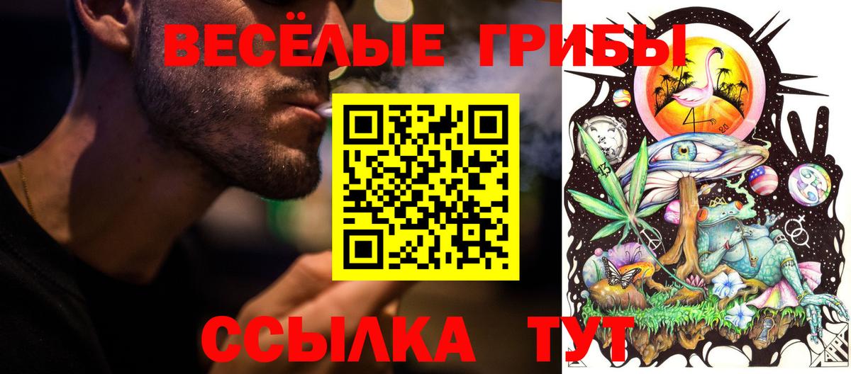 Псилоцибиновые грибы прущие грибы  Вход с VPN  Черногорск  Галлюциногенные грибы мицелий 