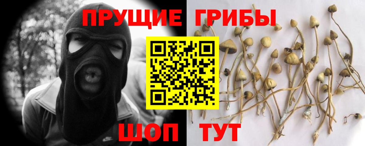 Псилоцибиновые грибы Magic Shrooms Черногорск